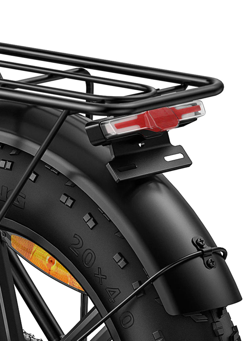 Engwe EP-2 PRO 250W/750w
