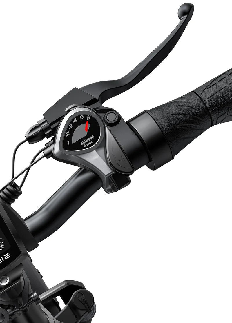 Engwe EP-2 PRO 250W/750w