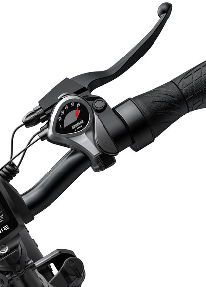 Engwe EP-2 PRO 250W/750w