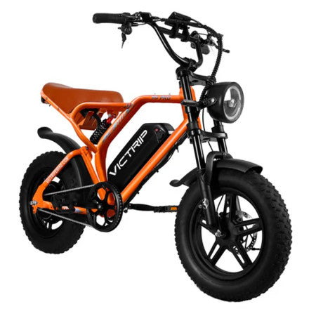 Victrip R6 250W/750W