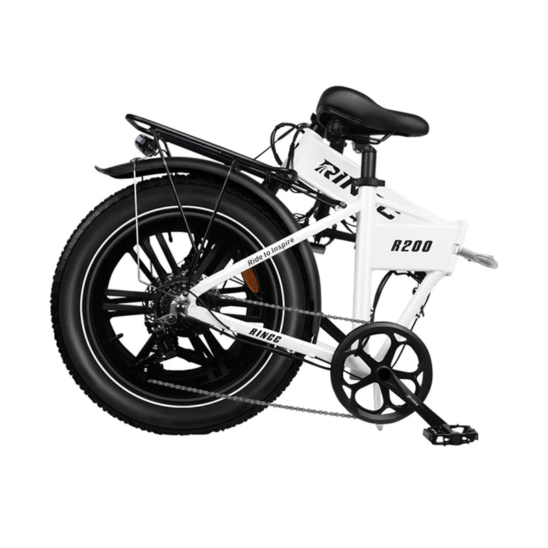 Rincc R200 250W/750W