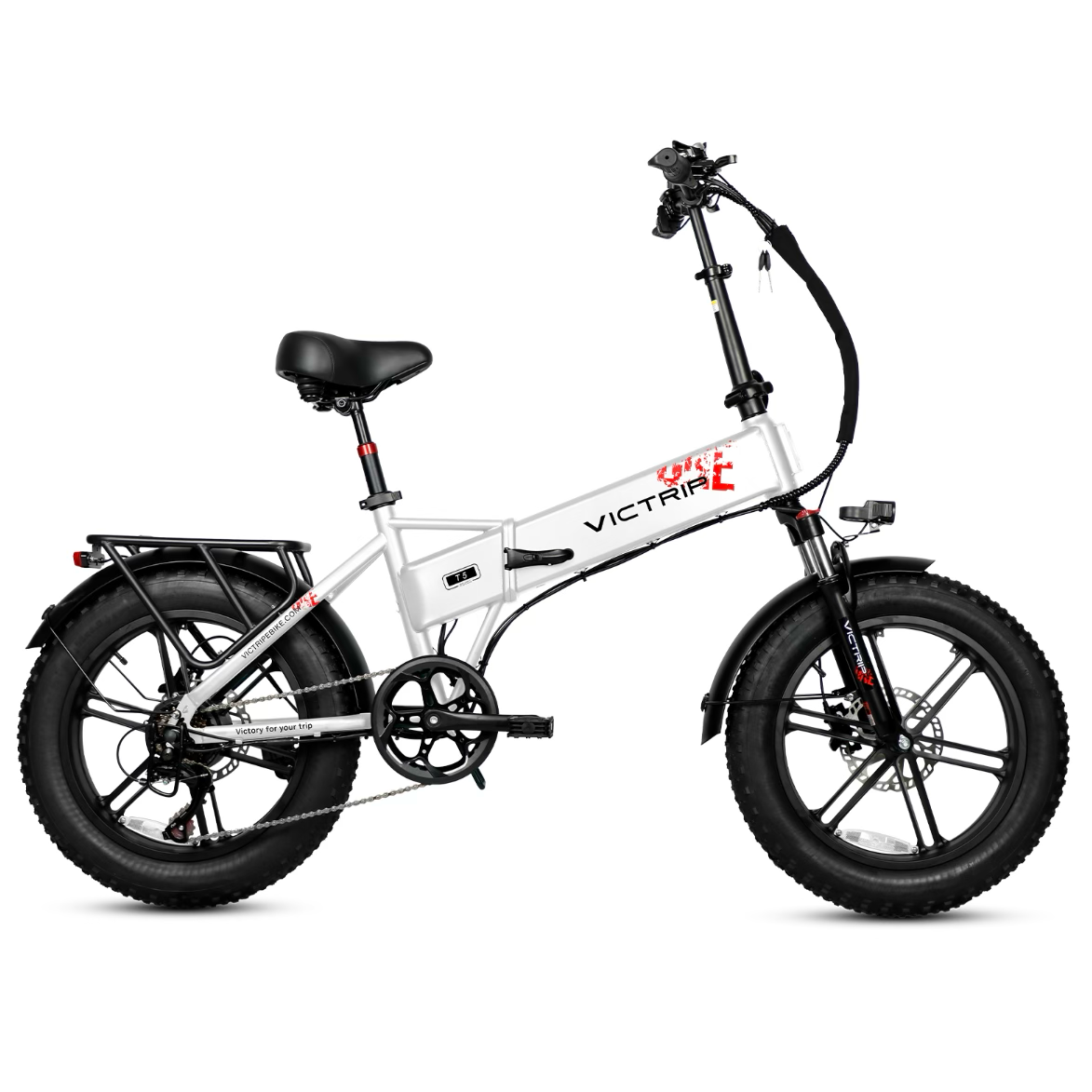 Victrip T5 250W/750W