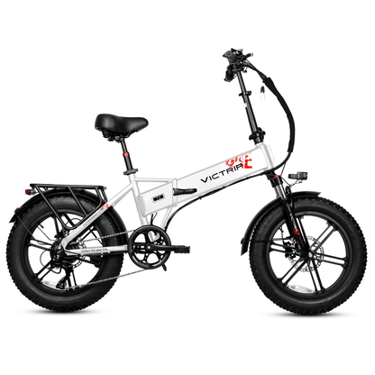 Victrip T5 250W/750W